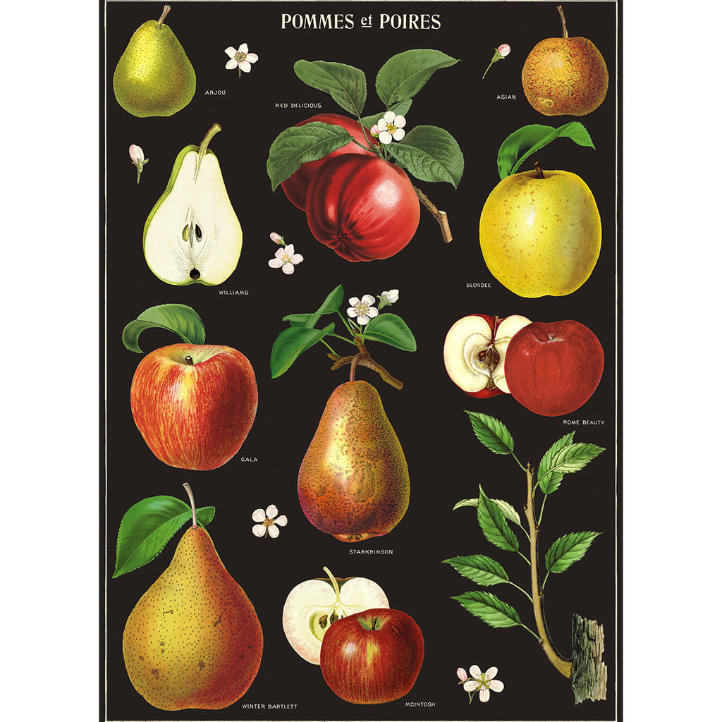 Apples & Pears Poster Wrap