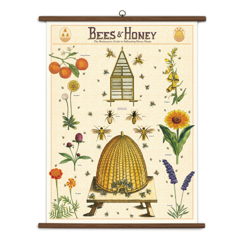 Bees & Honey Vintage School Chart
