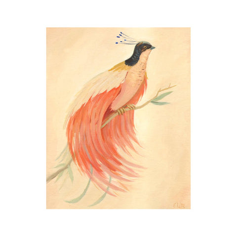 Bird of Paradise 8x10" Print