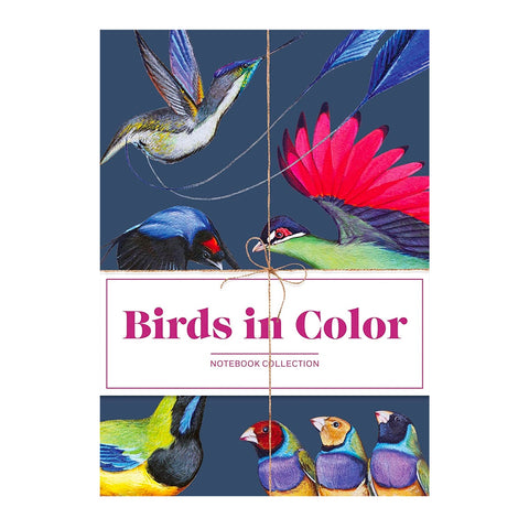 Birds in Colour Notebook Set