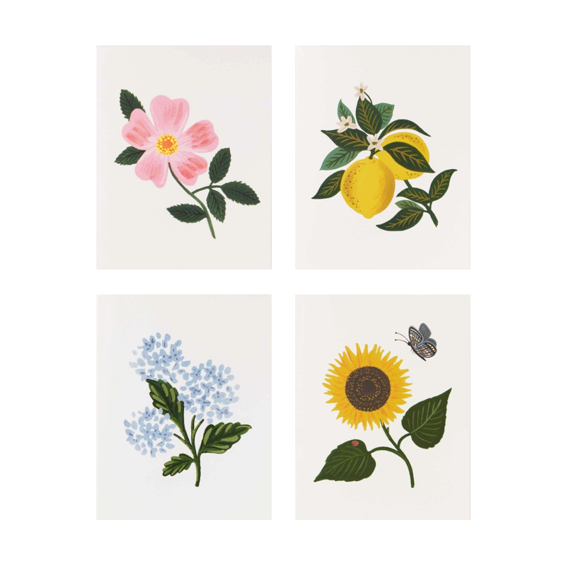 Rifle Paper Co. Botanical Blossom Assorted Boxed Cards