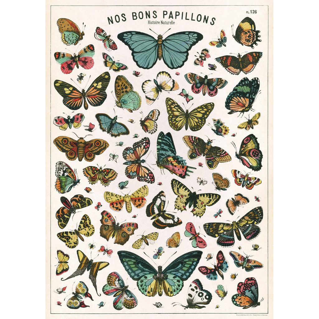 Butterfly Chart Poster Wrap