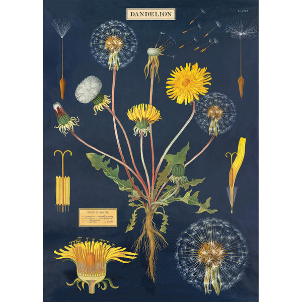 Dandelion Chart Wrap