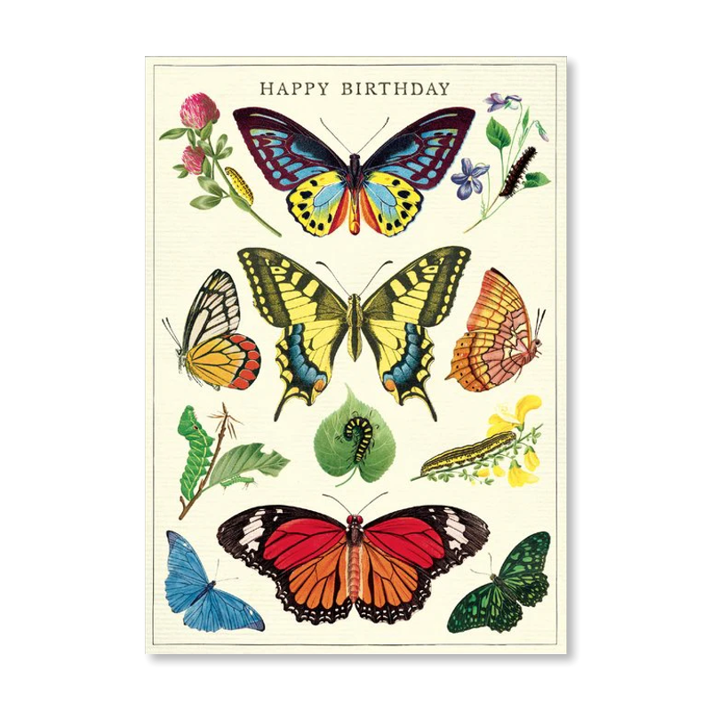Happy Birthday Butterflies Single Card