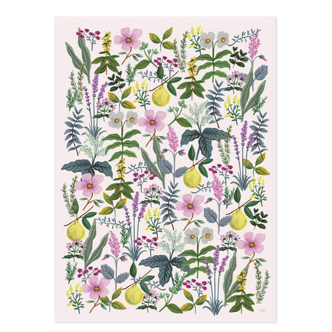 Rifle Paper Co. Herb Garden Wrapping Sheets, Roll of 3