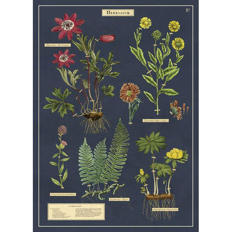 Herbarium Poster Wrap