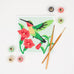 Hummingbird Mini Paint By Number Kit
