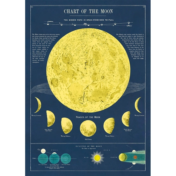 Moon Chart Poster Wrap