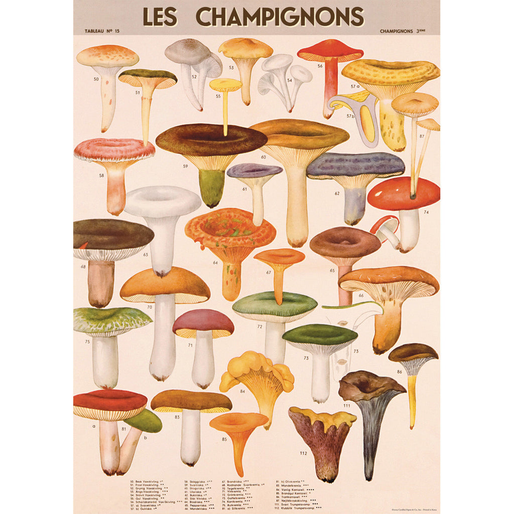Mushrooms Poster Wrap