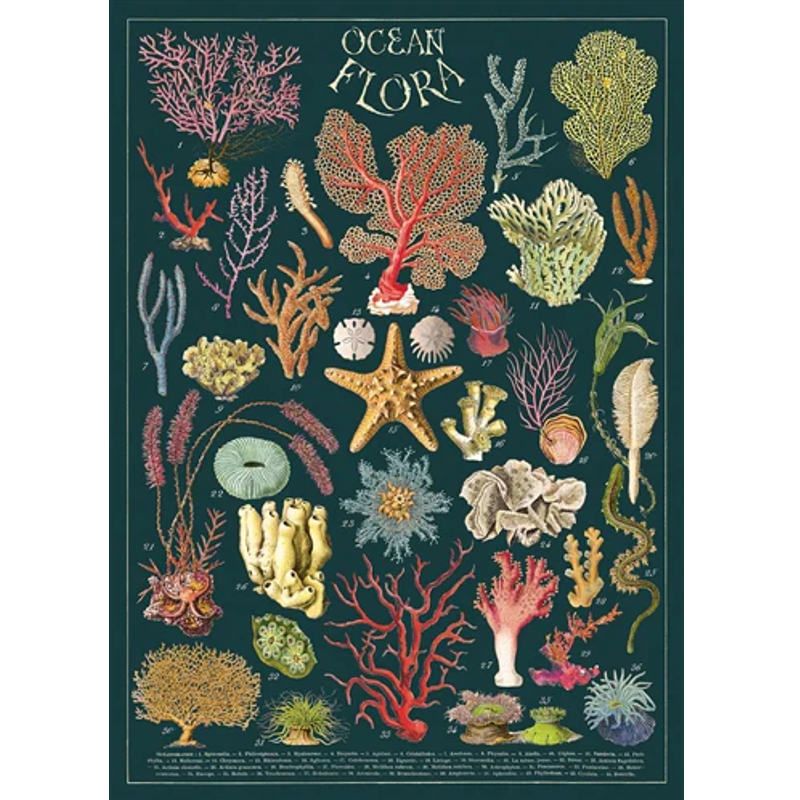 Ocean Flora Poster Wrap