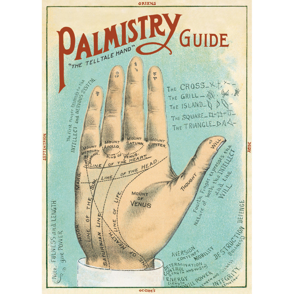 Palmistry Poster Wrap