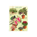 Cavallini Mini House Plants Notebooks Set/3