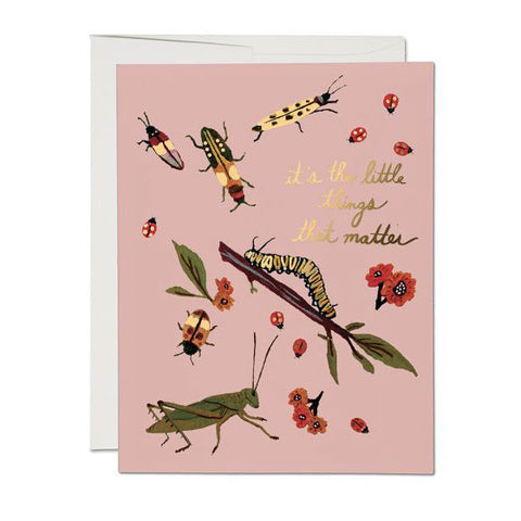 Little Bugs Single Card