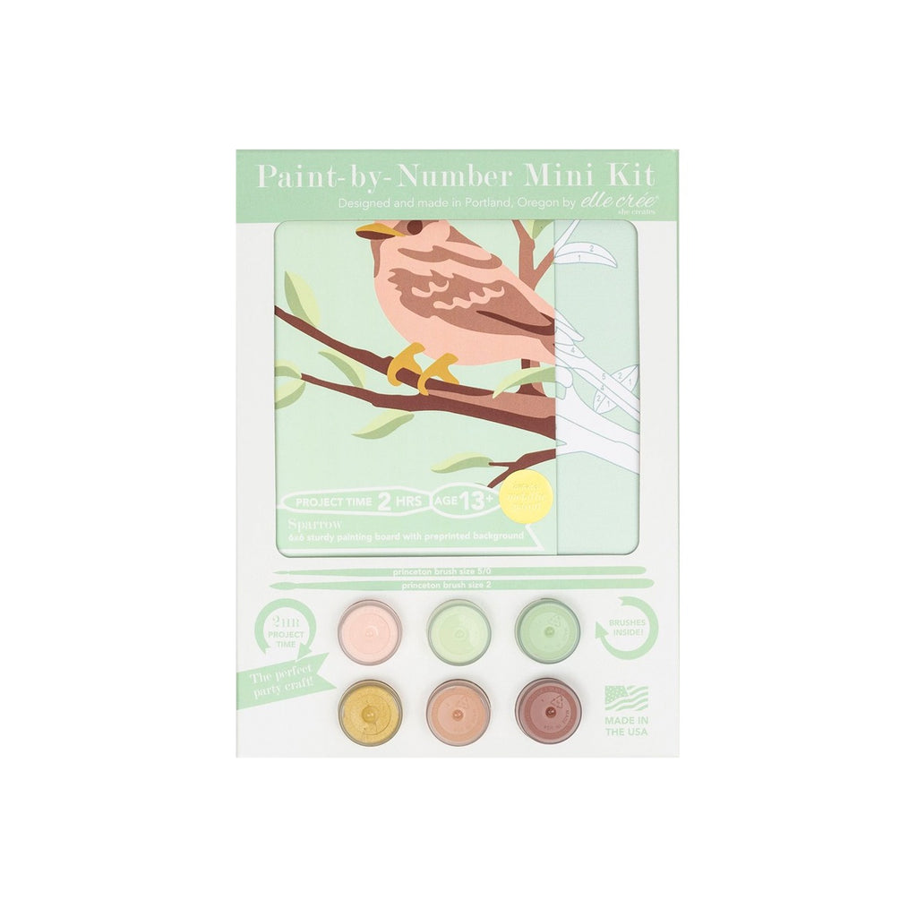 Sparrow Mini Paint By Number Kit