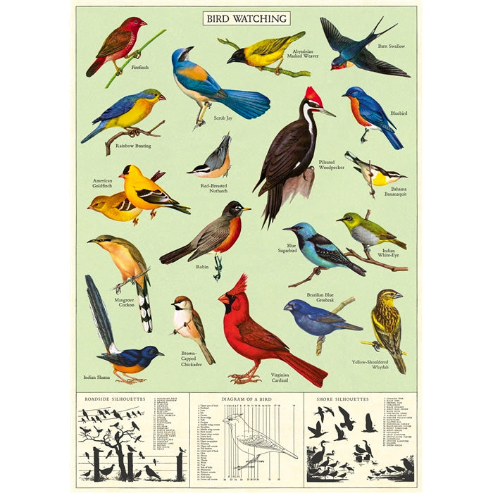 Study of Birds Poster Wrap