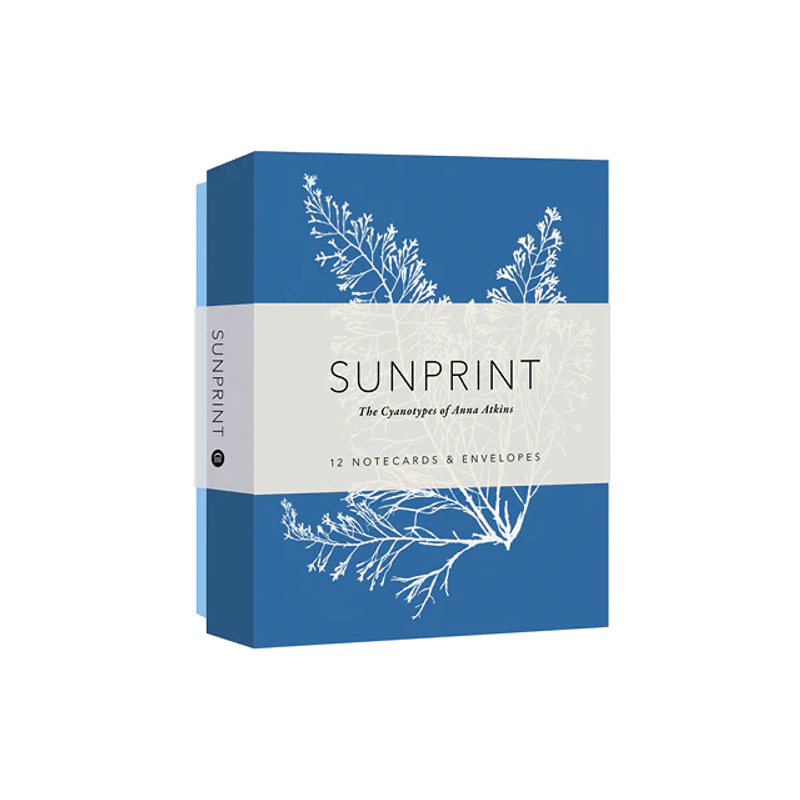 Sunprint Cyanotypes Boxed Cards
