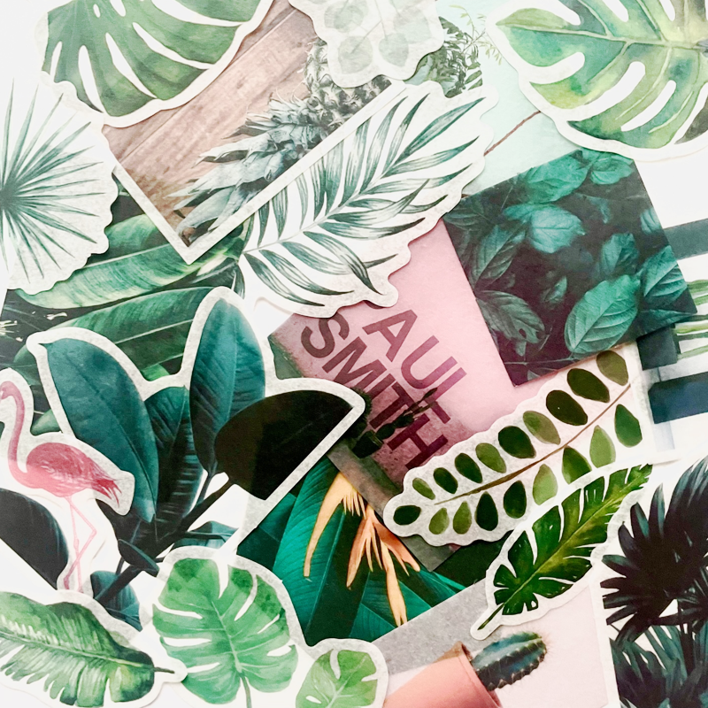 Washi Paper Stickers - Tropical Leaves