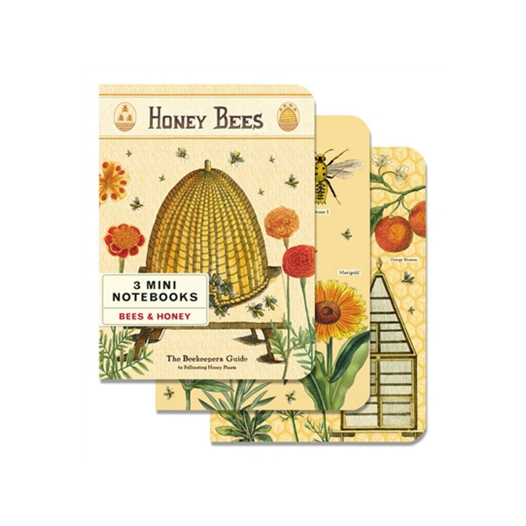 Cavallini Mini Bees & Honey Notebooks Set/3