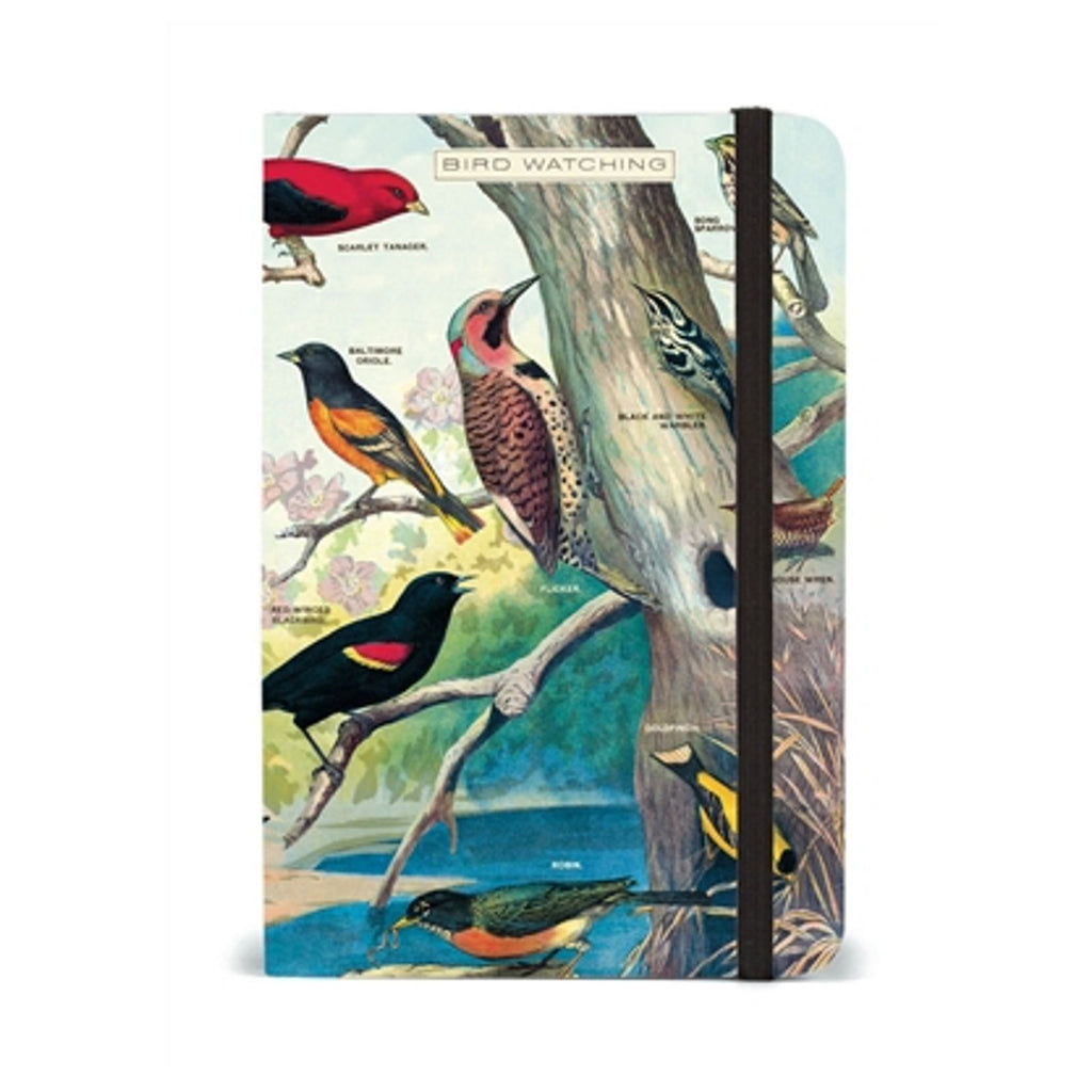 Cavallini Bird Watching Pocket Notebook