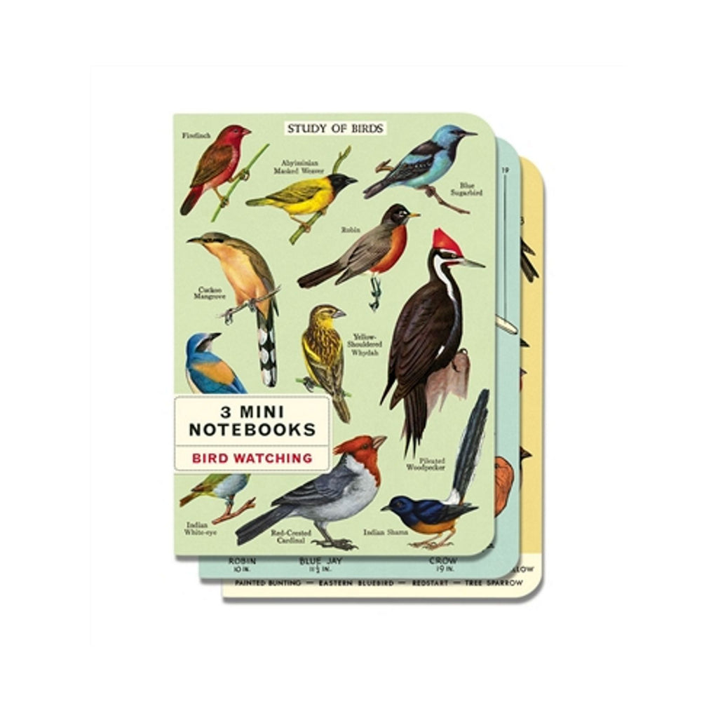 Cavallini Mini Bird Watching Notebooks Set/3