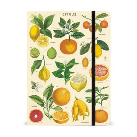 Cavallini Citrus Notebook