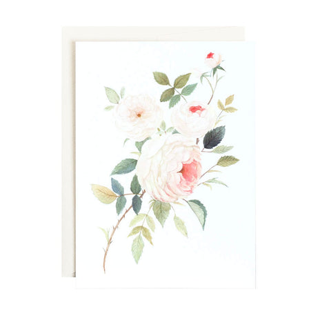 Rose For William Morris Single Card