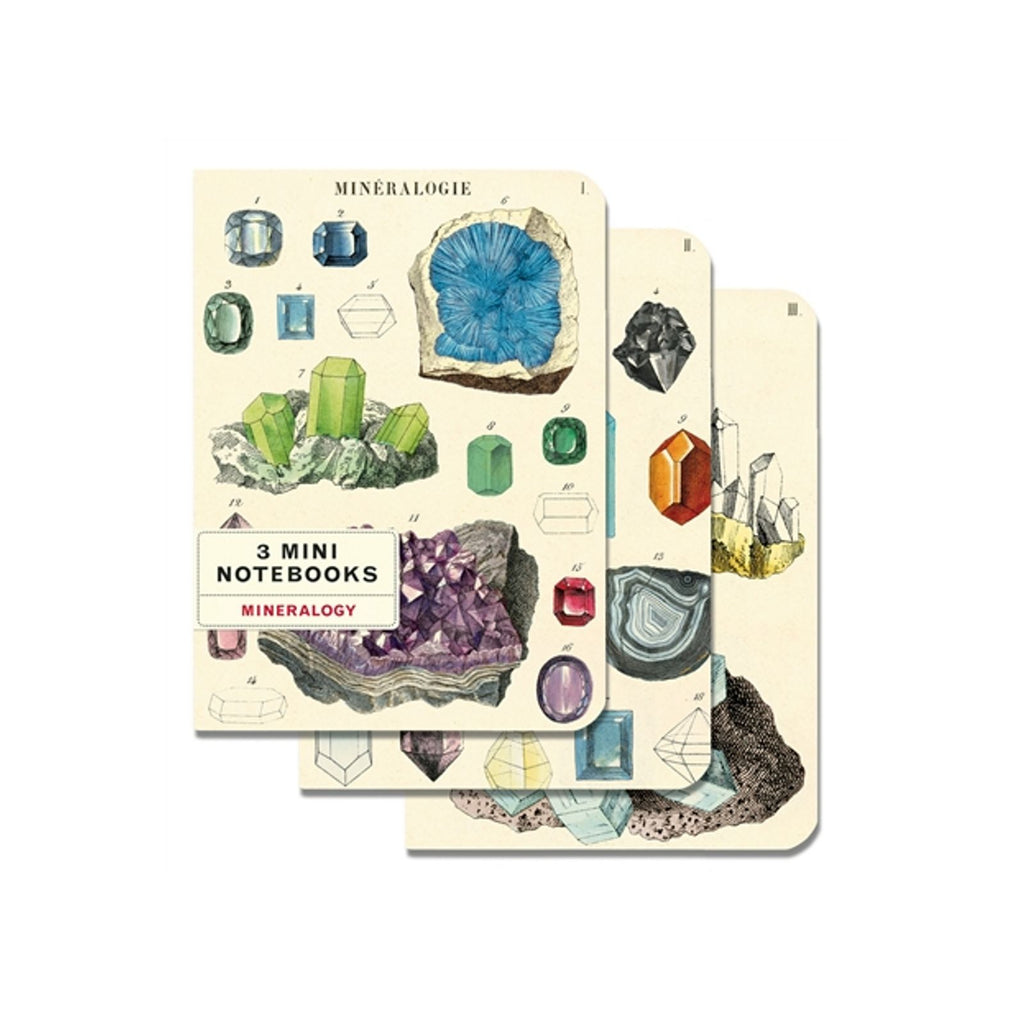 Cavallini Mini Mineralogie Notebook Set/3