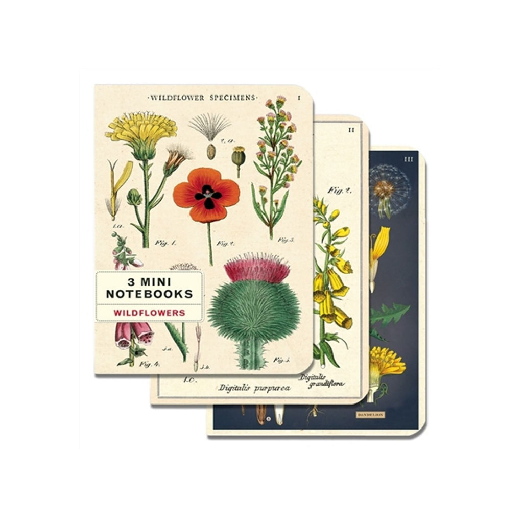 Cavallini Mini Wildflowers Notebook Set/3